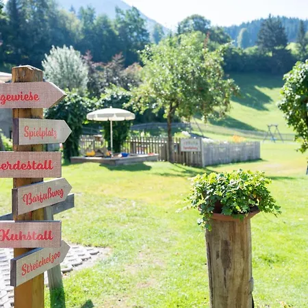 Erlebnisgut & Reiterhof Oberhabach Kirchdorf in Tirol