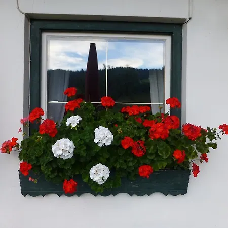 Feriengut Oberhabach 3*