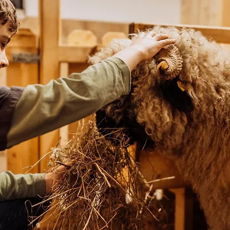 Erlebnisgut & Reiterhof Oberhabach Hotel Kirchdorf in Tirol