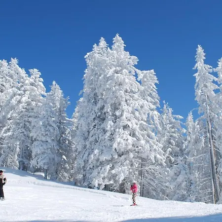 Hotel Erlebnisgut & Reiterhof Oberhabach Kirchdorf in Tirol