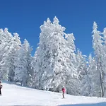 Hotel Erlebnisgut & Reiterhof Oberhabach Kirchdorf in Tirol