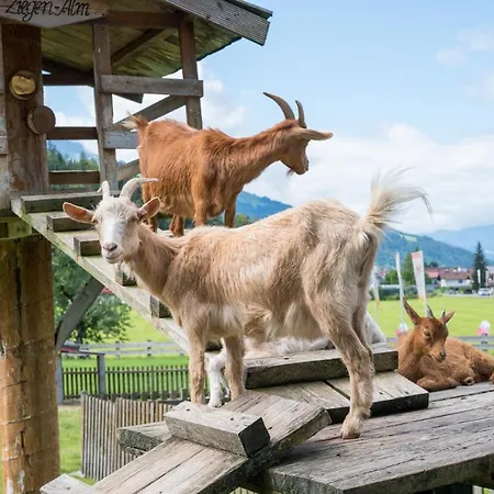 Erlebnisgut & Reiterhof Oberhabach 3*