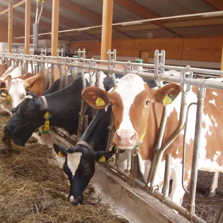 Erlebnisgut & Reiterhof Oberhabach Отель Бухен