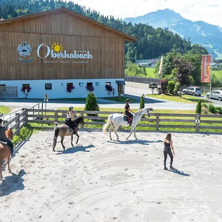 Erlebnisgut & Reiterhof Oberhabach 3* بوخن