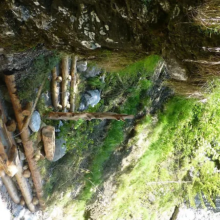 Отель Erlebnisgut & Reiterhof Oberhabach 3*