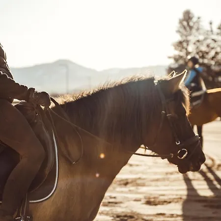 Erlebnisgut & Reiterhof Oberhabach
