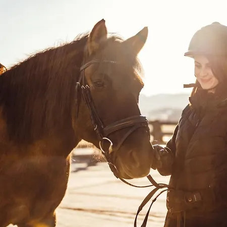 Erlebnisgut & Reiterhof Oberhabach