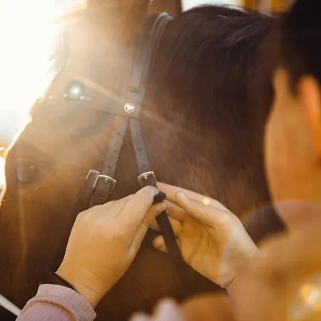 Erlebnisgut & Reiterhof Oberhabach 3*