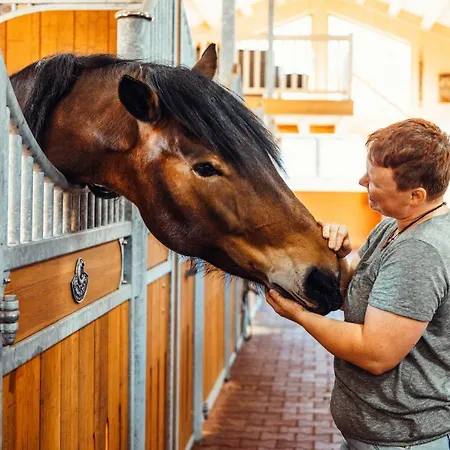 Erlebnisgut & Reiterhof Oberhabach 3*